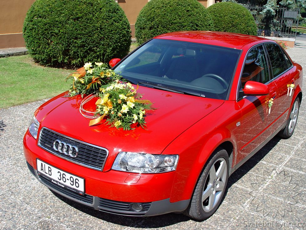 Decoration for the wedding car