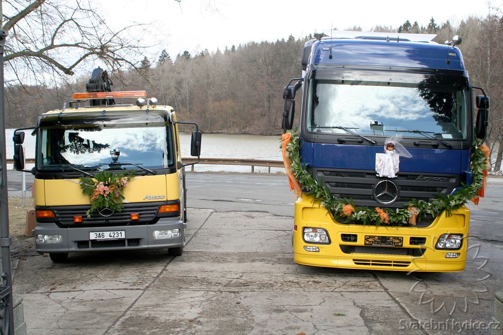 Decoration for the wedding car